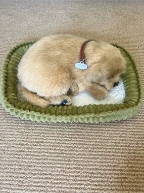 Perfect Petzzz Golden Retriever